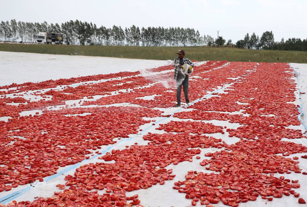 Süphan Dağı’nda yetişiyor 12 kilodan 1 kilo çıkıyor. Türkler 1 kilo bile alamıyor - Resim: 25